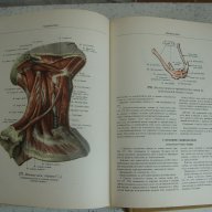 Атласи по анатомия на човека Синелников, снимка 5 - Енциклопедии, справочници - 16689471