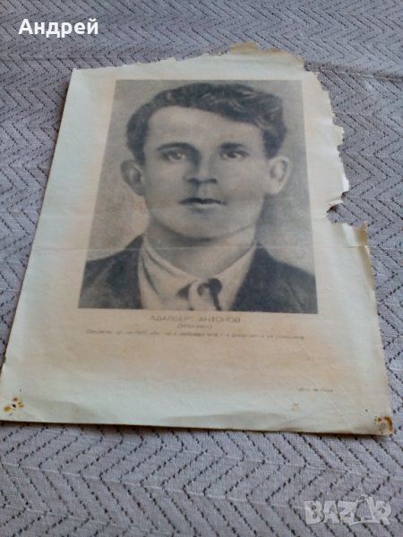 Снимка,плакат Адалберт Антонов, снимка 1