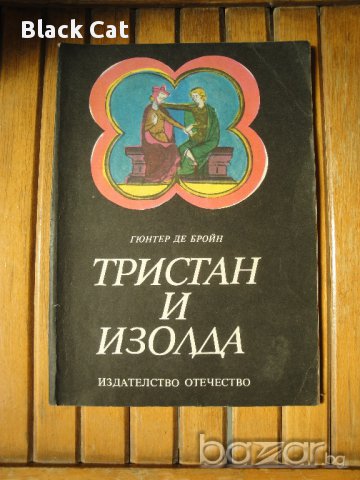 Книга "Тристан и Изолда", автор Гюнтер де Бройн, роман, книжка, повест