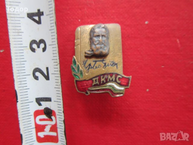 Стара значка знак  ДКМС бронз емайл ранен соц, снимка 1 - Колекции - 25471495