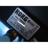Korg Pa800 256mb рам upgrade Kit + ОС, снимка 2 - Синтезатори - 12431728