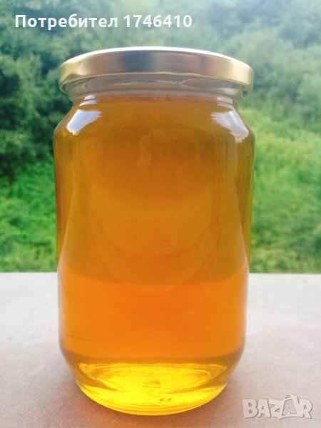Пчелен мед, снимка 1