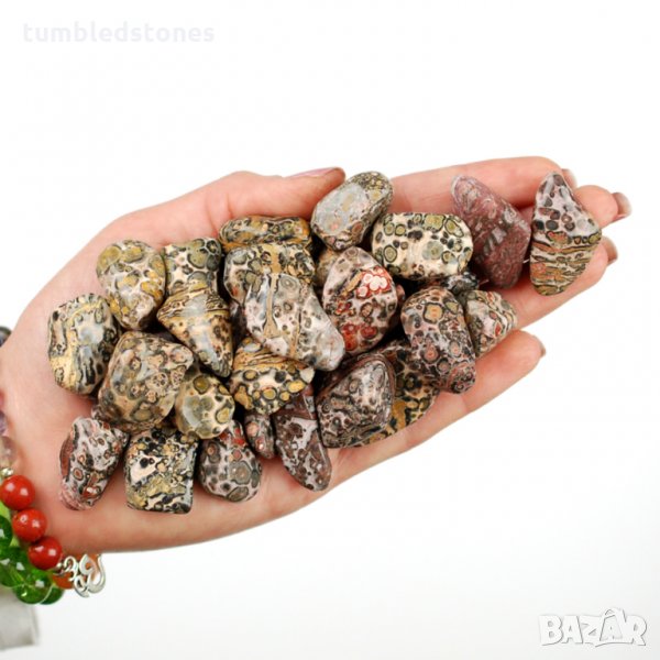 Леопардов яспис, Леопардов яспис, снимка 1