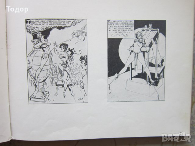 Книга сексуални изслдвания Извращения и Разврат 1963, снимка 5 - Специализирана литература - 26009727