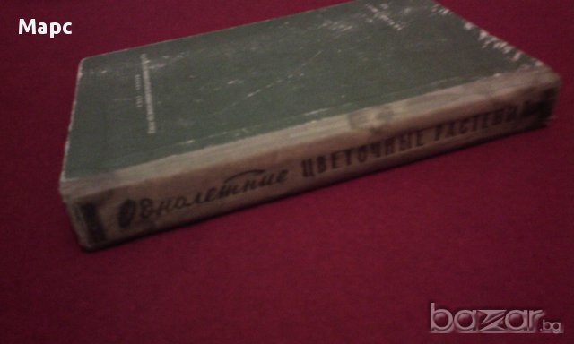 Однолетние цветочные растения, снимка 11 - Художествена литература - 11103613