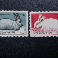 Пощенски марки от различни страни, снимка 5 - Филателия - 24330972
