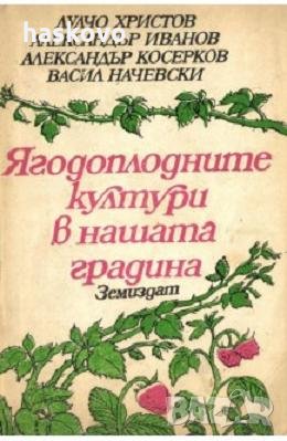 Ягодоплодните култури в нашата градина, снимка 1