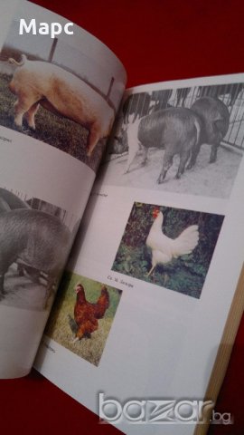 Отглеждане на селскостопански животни , снимка 3 - Специализирана литература - 18404851