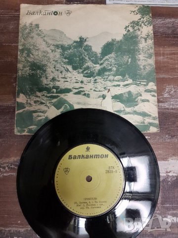 Плочи, снимка 9 - Грамофонни плочи - 25451629