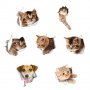 3Д Стикери с котета и кучета, снимка 10