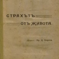 Страхътъ отъ живота, снимка 1 - Художествена литература - 14049449