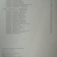 Анатомия на дървото с дендрология. Венко Калинков 1969 г., снимка 5 - Специализирана литература - 26144363