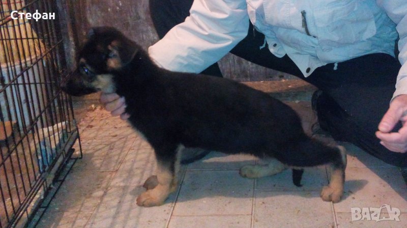  Промоции, снимка 1