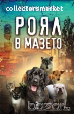 Роял в мазето