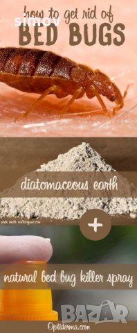 Диатомит /диатомична пръст/ срещу хлебарки, мравки бълхи и др., снимка 2 - Други - 23105385