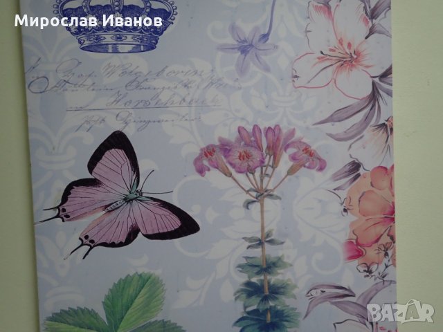 " Пеперуди " - голямо пано от Испания, снимка 1