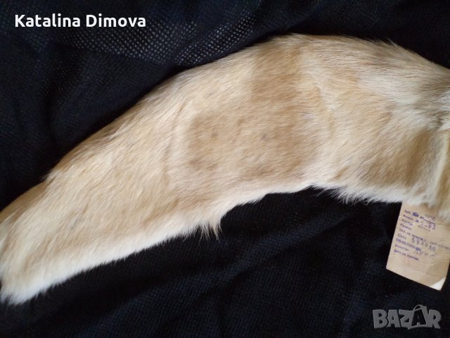 Продавам кожена яка, нова, снимка 3 - Шапки - 23071597