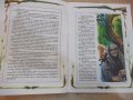 Книга"Вечни приказки-Братя Грим, Андерсен, Шехерезада"-48стр, снимка 3