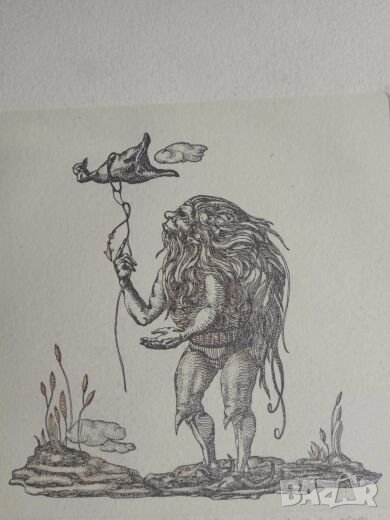 Продавам  немска гравюра , снимка 1