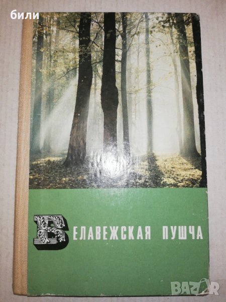 БЕЛАВЕЖСКАЯ ПУШЧА , снимка 1