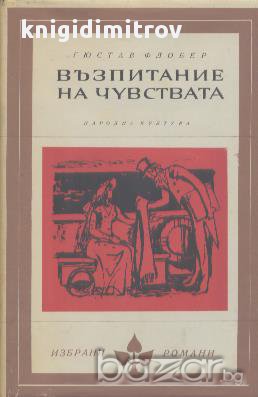 Възпитание на чувствата.  Гюстав Флобер, снимка 1 - Художествена литература - 14725077