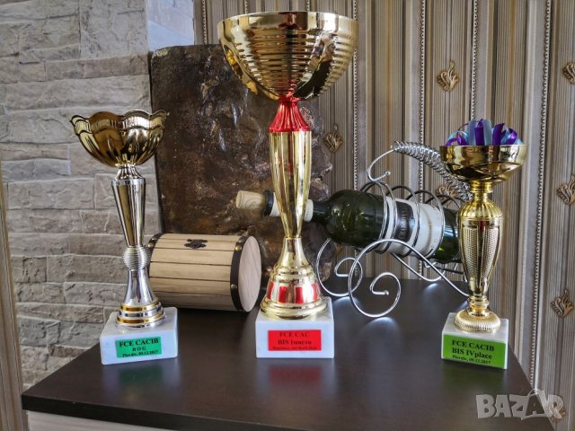 Чихуахуа чистопороден мъжкар за разплод, снимка 10 - Чихуахуа - 20790772