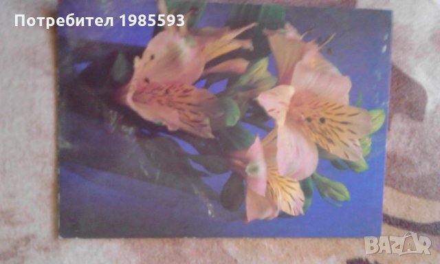 Ретро картички, снимка 10 - Колекции - 22963544