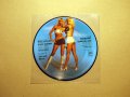 Vinyl-грамофонни плочи - MANFRED MANN / SANDii & THE SUNSETZ / GO GO'S - Picture Discs, снимка 18