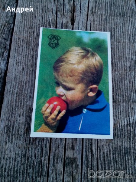 Календарче ДЗИ 1973, снимка 1