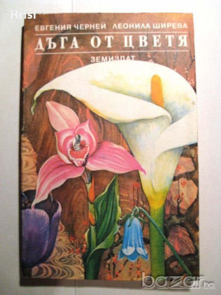 Дъга от цветя, снимка 1