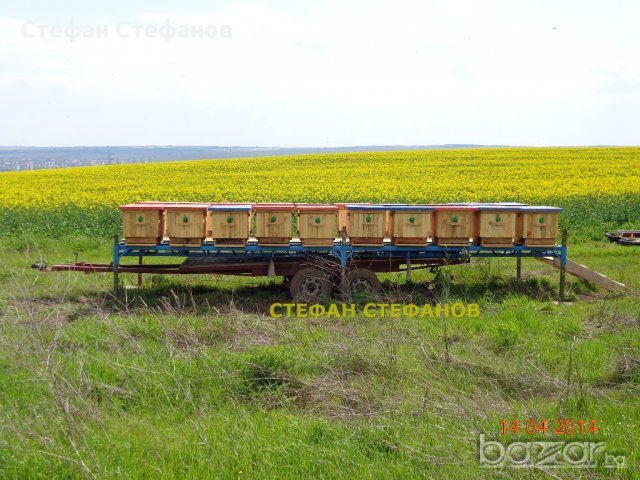 Пчеларска платформа + колесар., снимка 1 - Ремаркета - 8770746