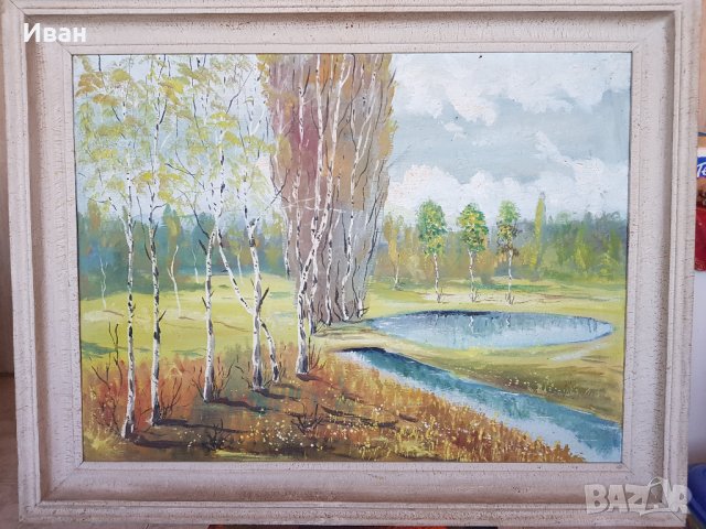 Брези край поточе