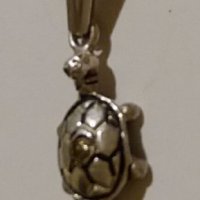 Среб.медальон-костенурка с циркон-проба-925. Закупен от Италия., снимка 4 - Колиета, медальони, синджири - 21774827