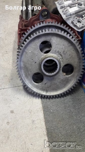 бордова голяма болгар, снимка 1