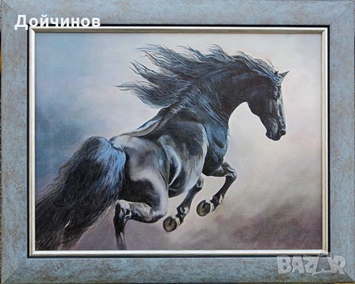 ”Устрем”, черен кон, картина
