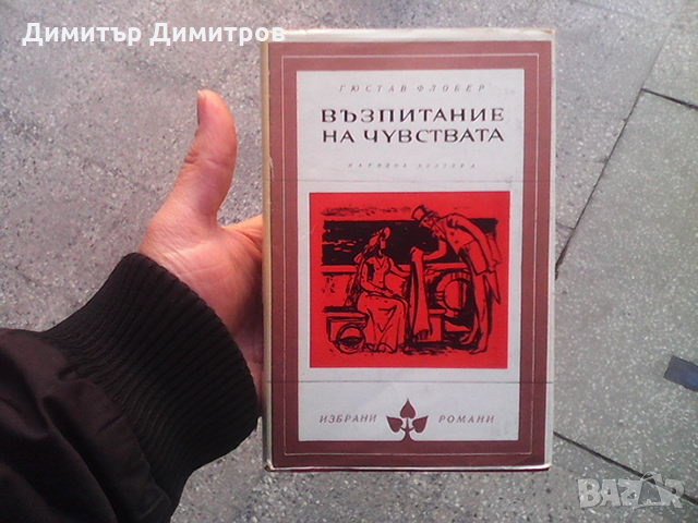 Възпитание на чувствата Гюстав Флобер, снимка 1 - Художествена литература - 24069213