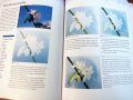 книга - изобразителни техники, снимка 2