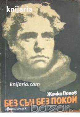 Без сън, без покой: Книга за Васил Левски 