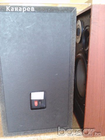 Audioscan 3880 , снимка 10 - Тонколони - 17519790