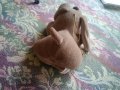 Плюшено куче играчка, снимка 6