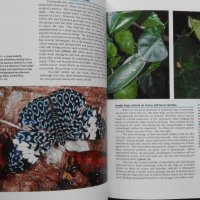ПРОМОЦИЯ! - The Lepidoptera of Israel. Volume I: Erebidae  , снимка 9 - Специализирана литература - 21079007