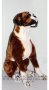 Голяма плюшена играчка Голямо плюшено куче Боксер, снимка 1 - Плюшени играчки - 16304493