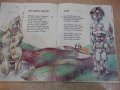 Книга "Грей ми , слънце , грей - Безименко" - 32 стр., снимка 5