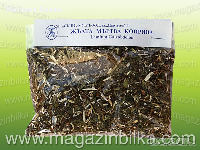 Билка Жълта мъртва коприва, снимка 1