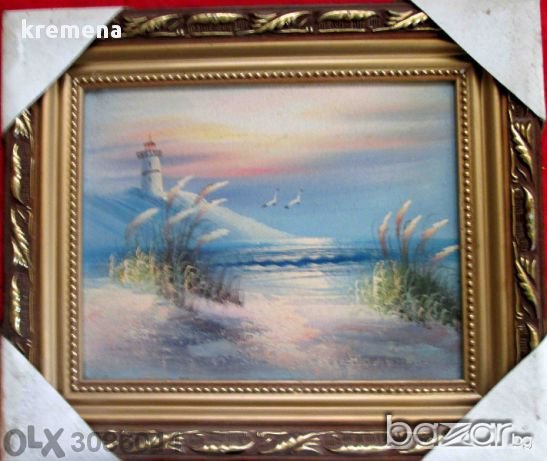 Продавам картини  рисувани с маслени бои върху платно ,бартер за лаптоп, снимка 1 - Картини - 20692060