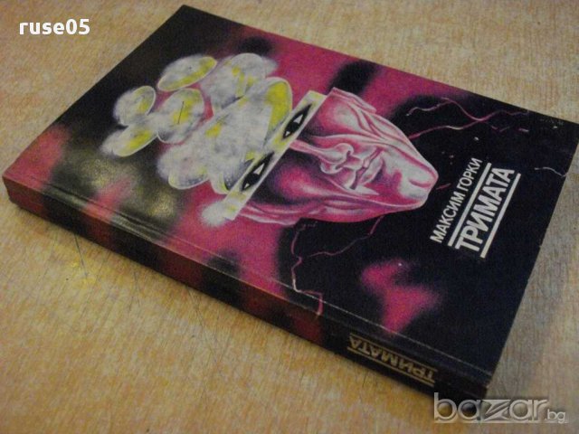 Книга "Тримата - Максим Горки" - 304 стр., снимка 7 - Художествена литература - 15158055