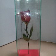 Роза за за свети валентин или 8 март, снимка 1 - Декорация за дома - 13751762