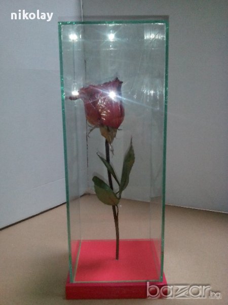Роза за за свети валентин или 8 март, снимка 1