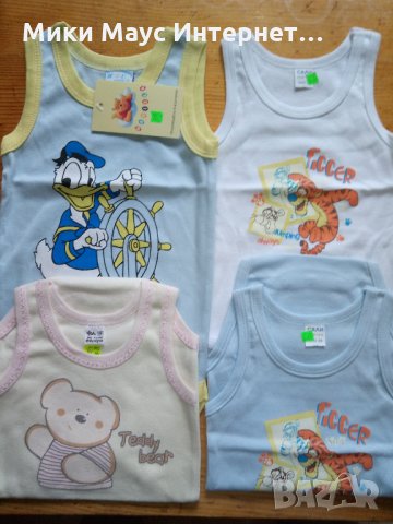 Български бодита потник, снимка 1