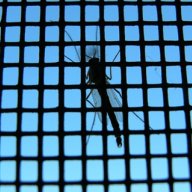 Мрежа против насекоми с магнити черна и бяла, снимка 7 - Пердета и завеси - 18479200